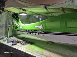 Kawasaki Lime Green