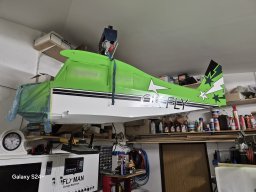 Kawasaki Lime Green