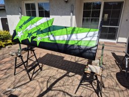 Kawasaki Lime Green