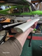 WIng Struts