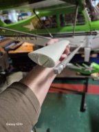 WIng Struts