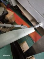 WIng Struts