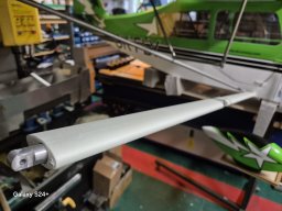 WIng Struts