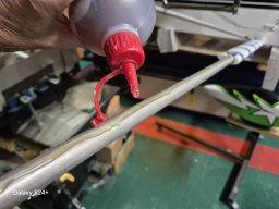 WIng Struts