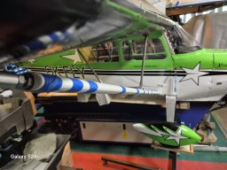 WIng Struts