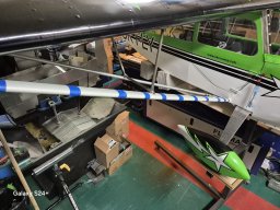 WIng Struts