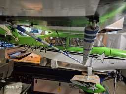WIng Struts