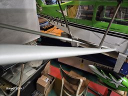 WIng Struts